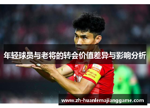 年轻球员与老将的转会价值差异与影响分析 年轻球员与老将的转会价值差异与影响分析